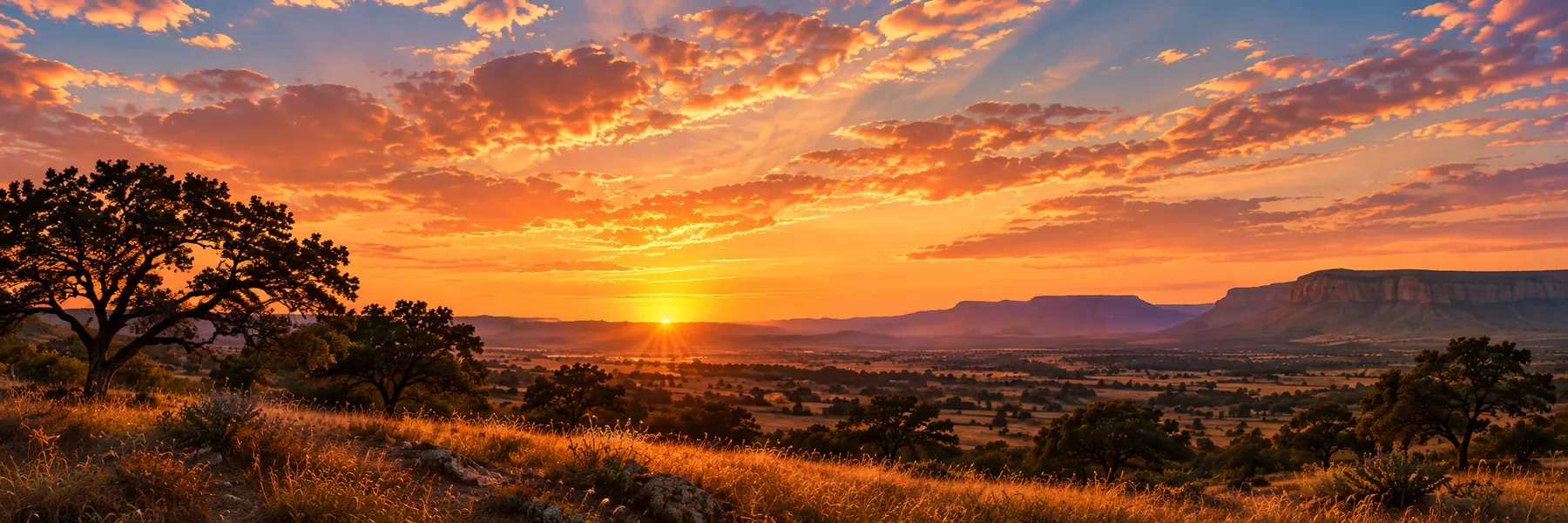 Texas ranch landscape at sunset